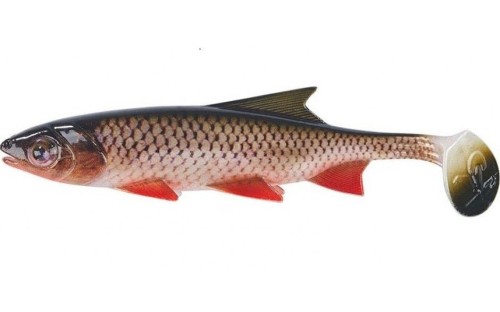 krokodyl1-612008