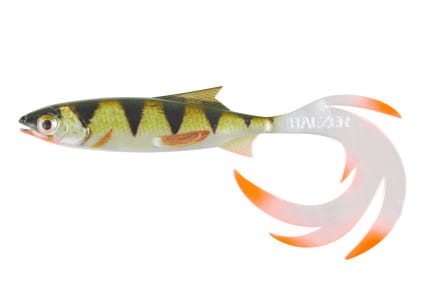 krokodyl1-612216