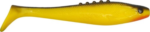 krokodyl1-616342