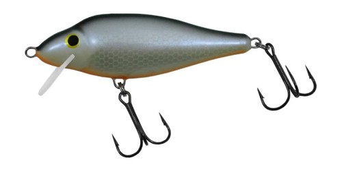 krokodyl1-617951