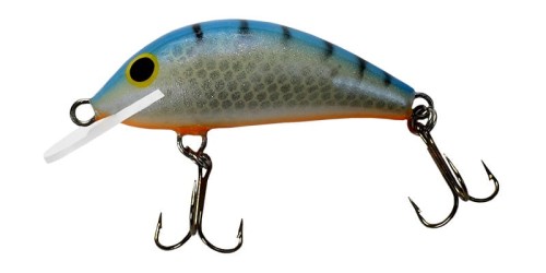 krokodyl1-618014