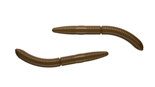 krokodyl1-618451