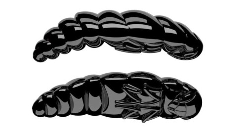krokodyl1-618640