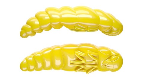 krokodyl1-618706