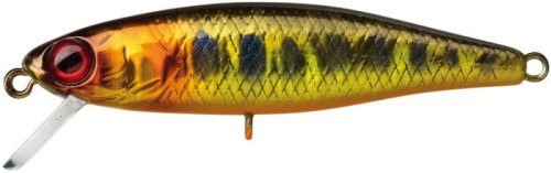 krokodyl1-619074