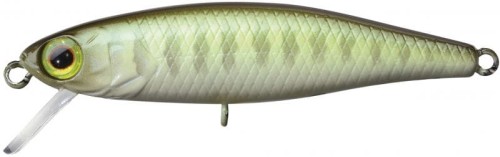 krokodyl1-619096