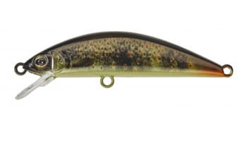 krokodyl1-619103