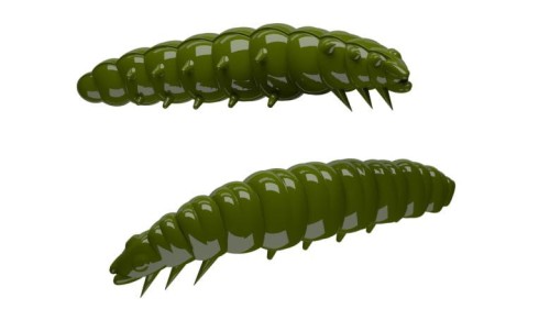 krokodyl1-619249