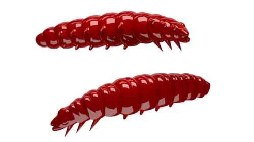 krokodyl1-619384