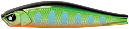 krokodyl1-619584