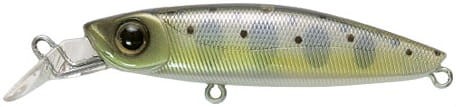 krokodyl1-619627