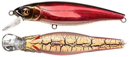 krokodyl1-619665