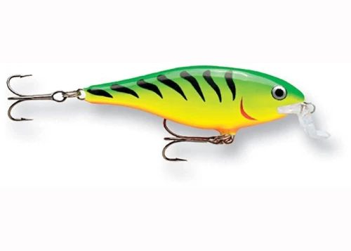 krokodyl1-620157