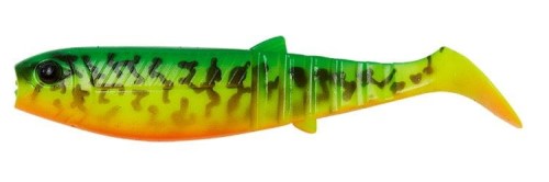 krokodyl1-620345