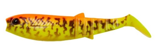 krokodyl1-620351