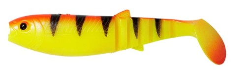 krokodyl1-620359