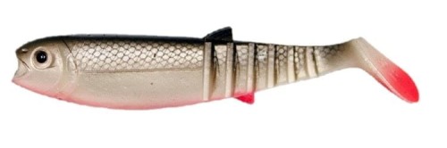 krokodyl1-620394