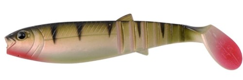 krokodyl1-620504