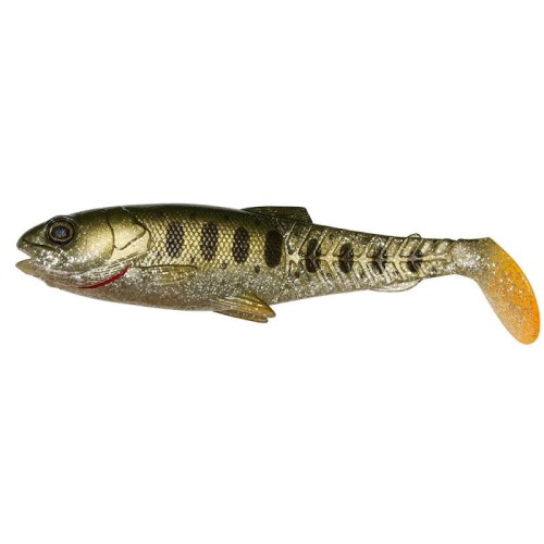 krokodyl1-620543