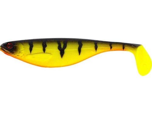 krokodyl1-622261
