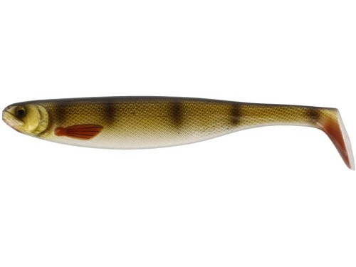 krokodyl1-622786