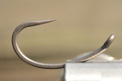 krokodyl2-578264