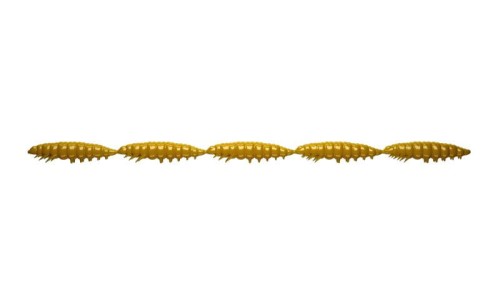 krokodyl2-582359