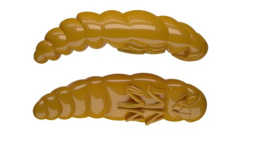 krokodyl2-582535
