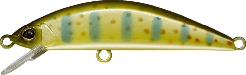 krokodyl2-584159