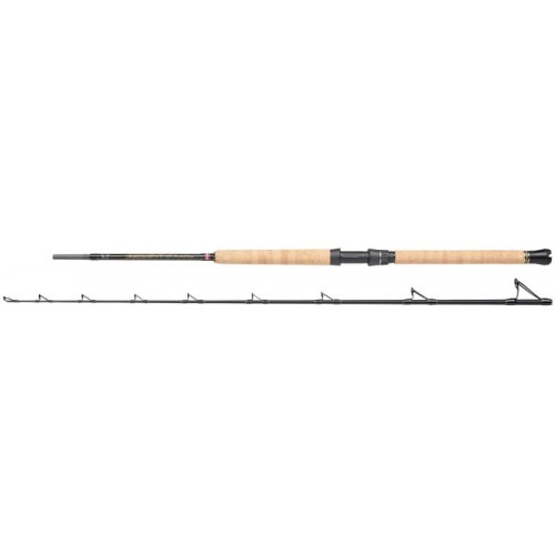 krokodyl2-586977