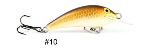 krokodyl2-597279
