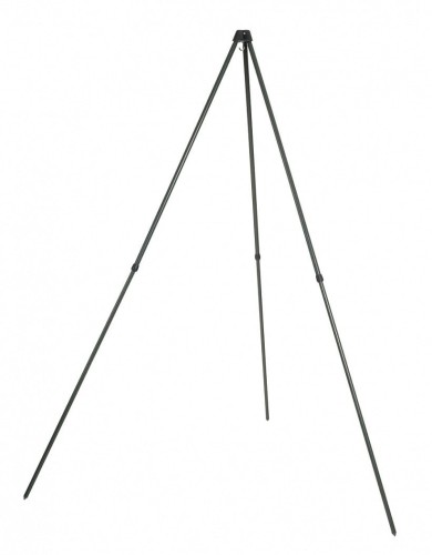 krokodyl2-602307