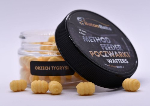 krokodyl2-612123