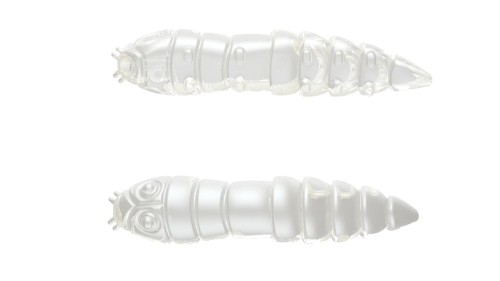 krokodyl3-569965
