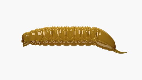 krokodyl3-570013