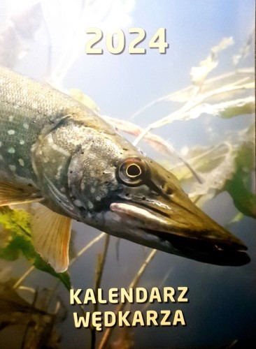 krokodyl3-570233