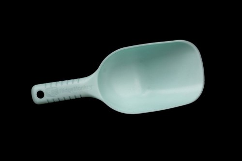 krokodyl3-578295