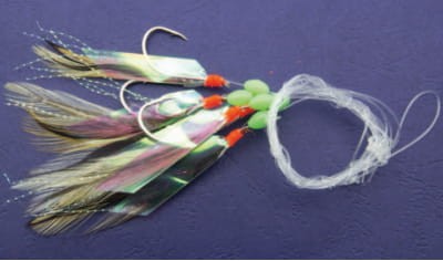 krokodyl3-587189