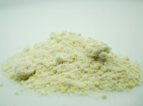 krokodyl3-590377