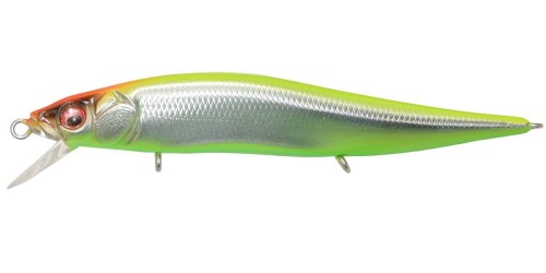 krokodyl3-605530
