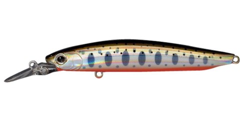 krokodyl3-605534