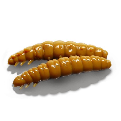 krokodyl3-608500
