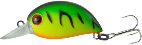 krokodyl3-614003