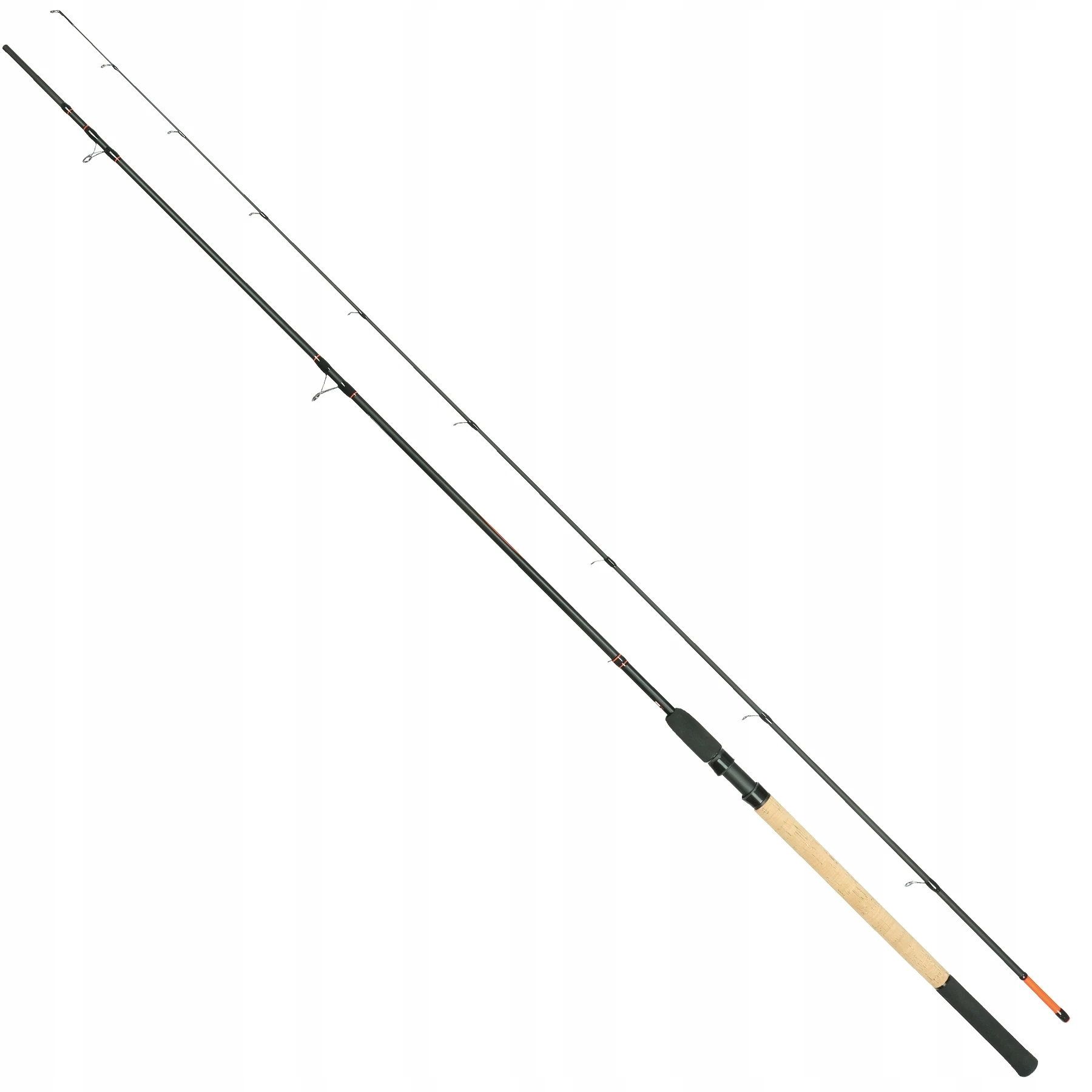 mysterycarp-508496