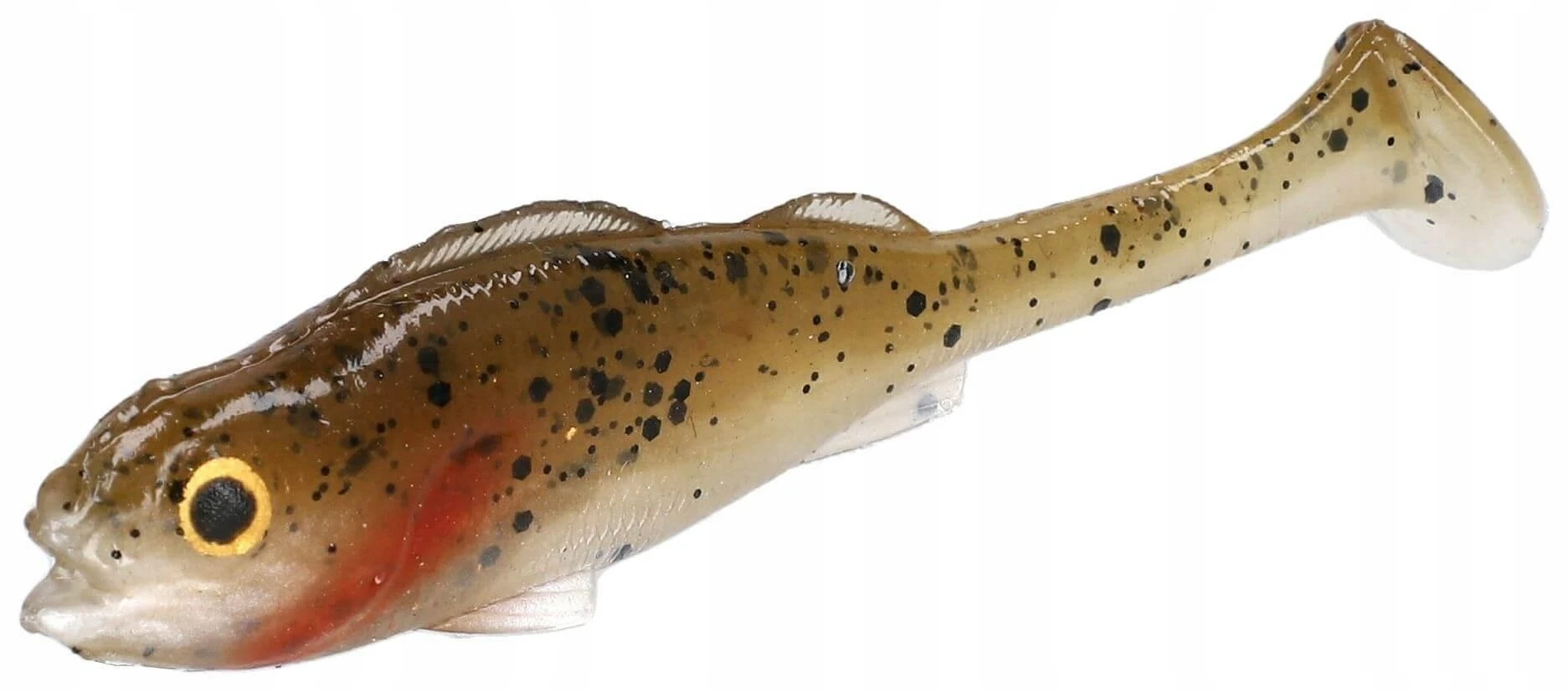 mysterycarp-511128