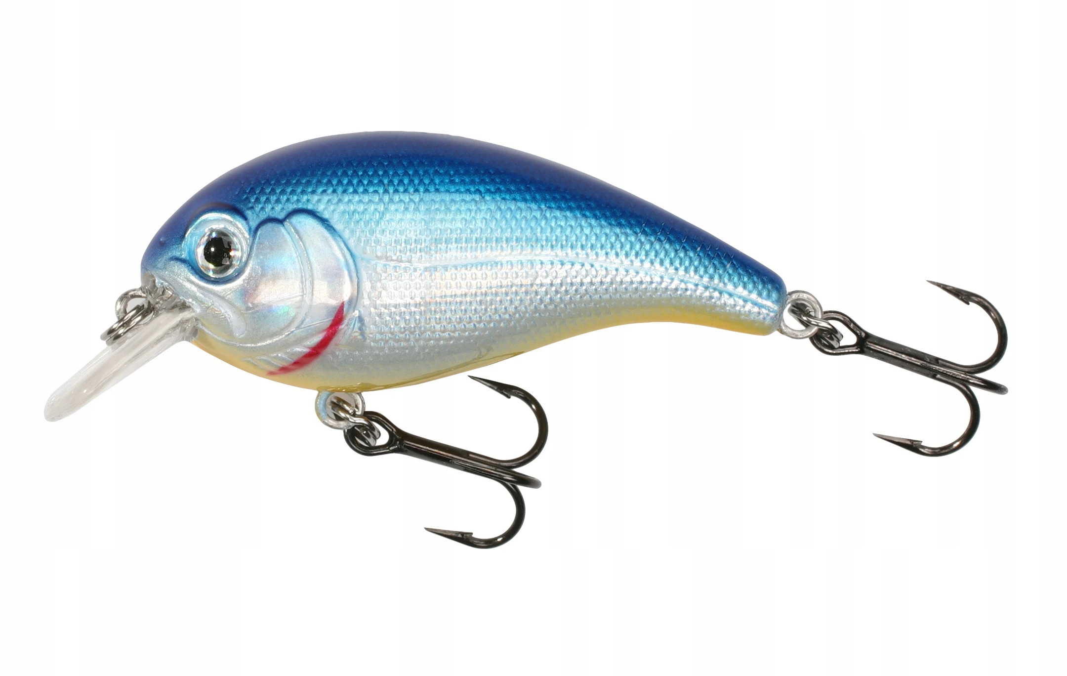mysterycarp-511337