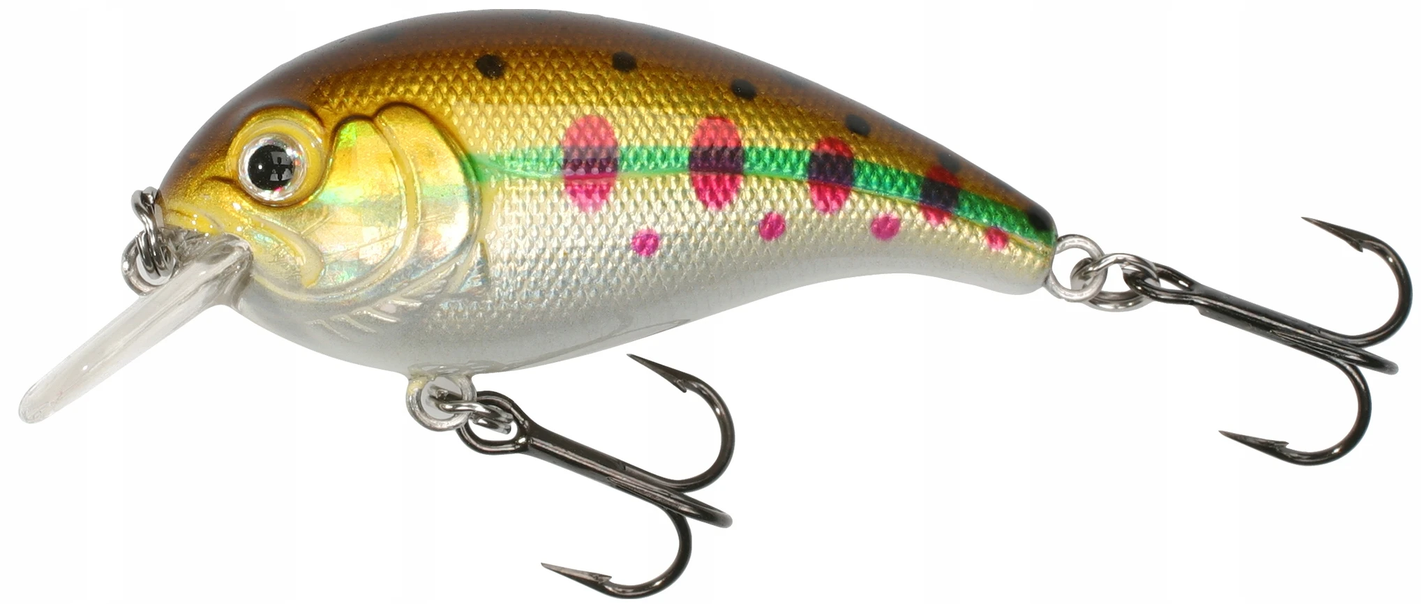 mysterycarp-511343