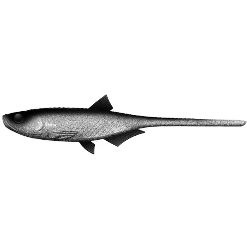 skleprybka-550248