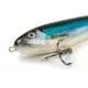 skleprybka-559224