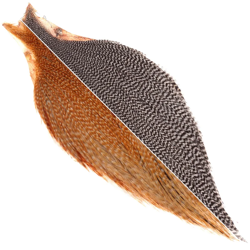 taimen-701615